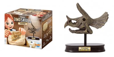 Kit de fouille Triceratops Museum Skull - Buki